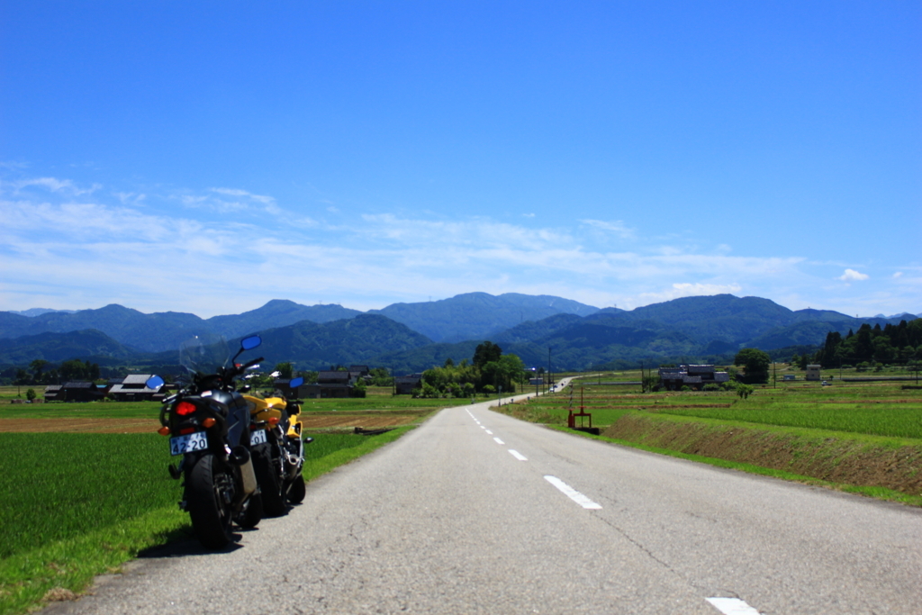 f:id:INU-SUN:20170612140800j:plain f:id:INU-SUN:20170612140800j:plain