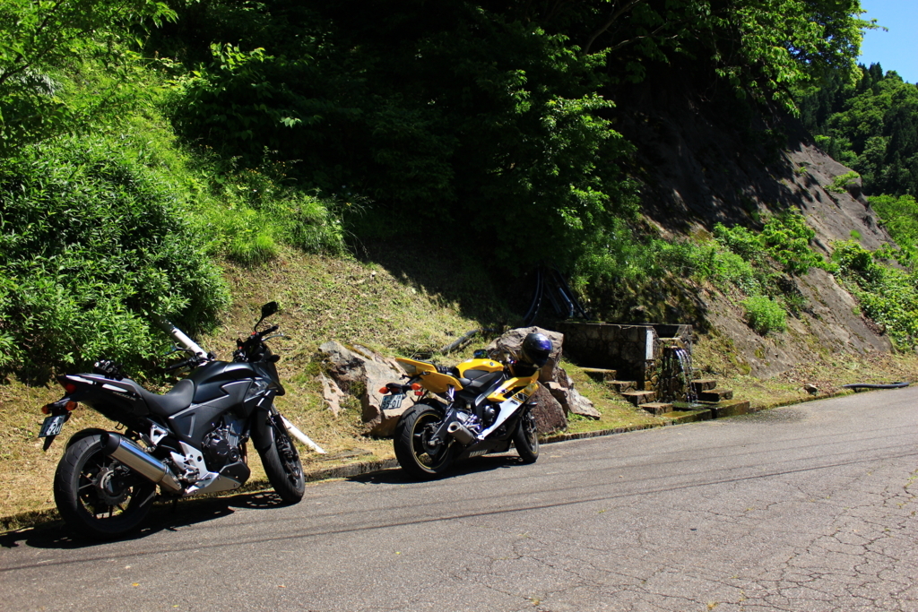 f:id:INU-SUN:20170612142358j:plain f:id:INU-SUN:20170612142358j:plain