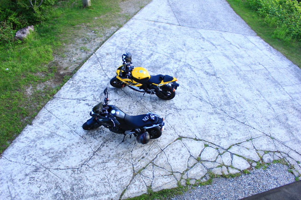 f:id:INU-SUN:20170613141801j:plain f:id:INU-SUN:20170613141801j:plain