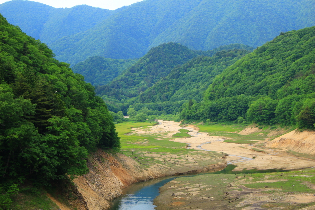 f:id:INU-SUN:20170618210501j:plain f:id:INU-SUN:20170618210501j:plain