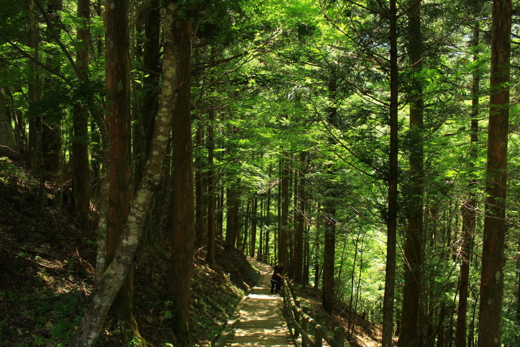 f:id:INU-SUN:20170821232814j:plain f:id:INU-SUN:20170821232814j:plain