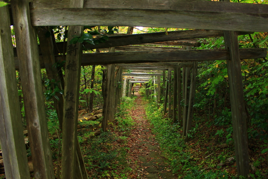 f:id:INU-SUN:20171018022004j:plain