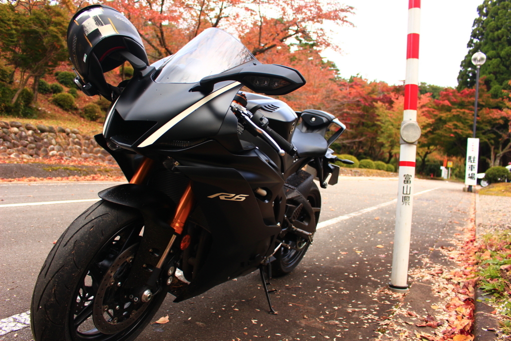 f:id:INU-SUN:20171107194537j:plain