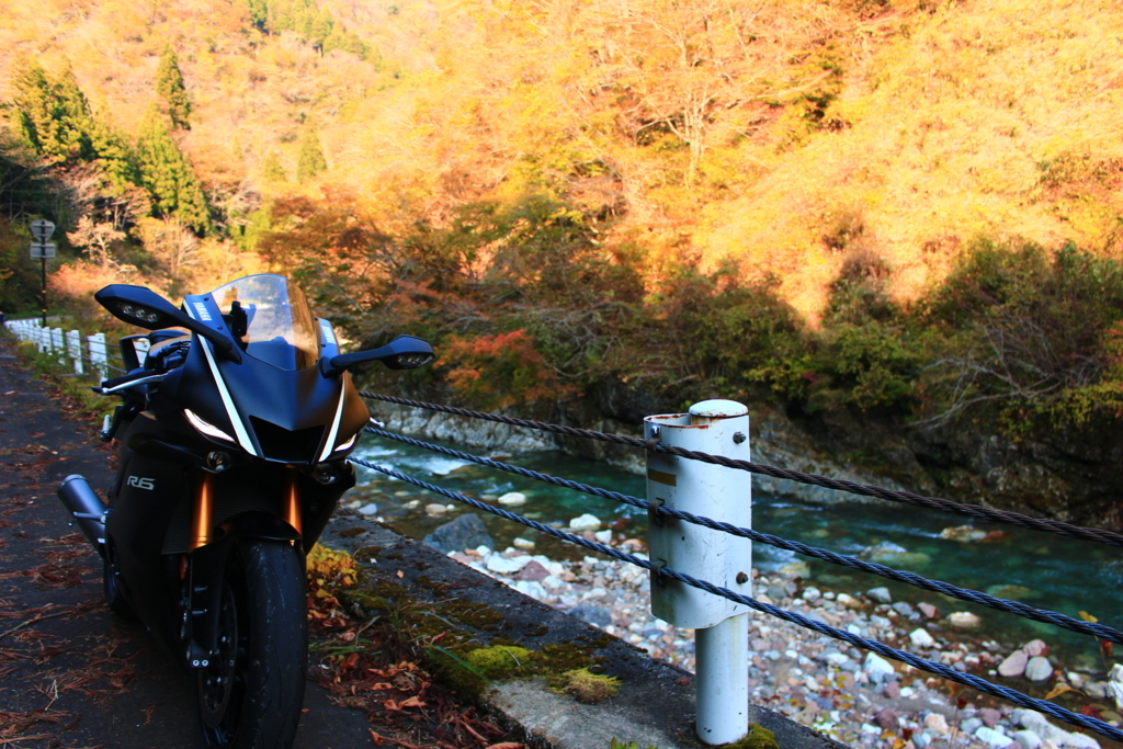 f:id:INU-SUN:20171107194711j:plain