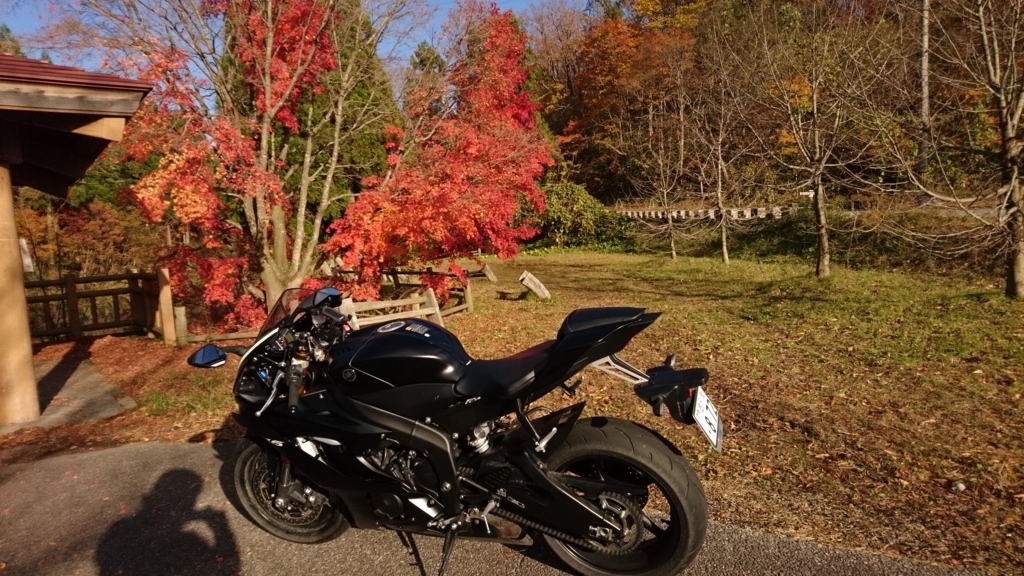 f:id:INU-SUN:20171114184131j:plain f:id:INU-SUN:20171114184131j:plain