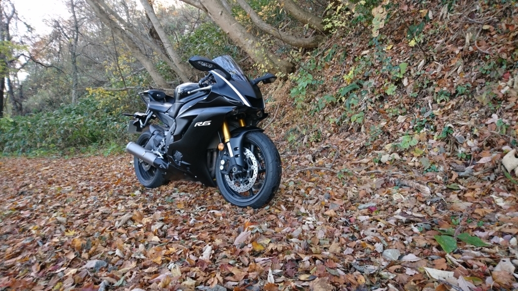 f:id:INU-SUN:20171114184557j:plain f:id:INU-SUN:20171114184557j:plain