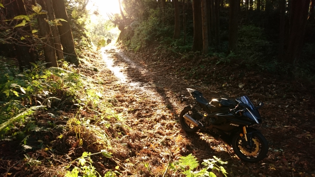 f:id:INU-SUN:20171114184626j:plain f:id:INU-SUN:20171114184626j:plain