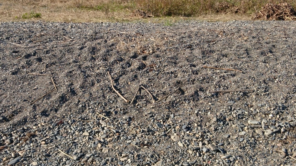 f:id:INU-SUN:20171204223150j:plain f:id:INU-SUN:20171204223150j:plain