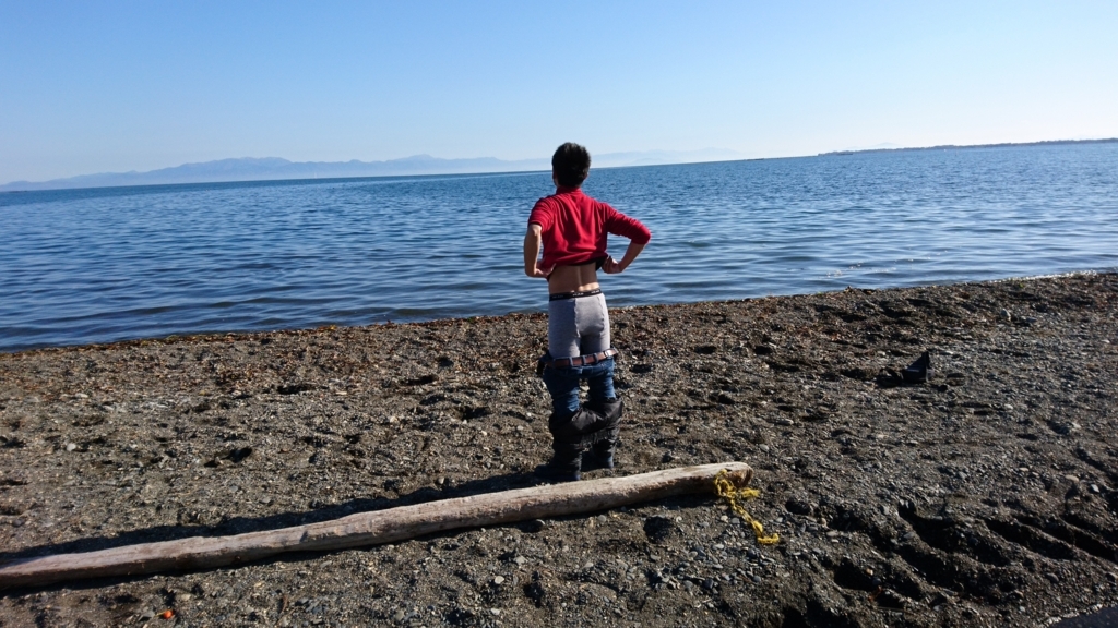 f:id:INU-SUN:20171204223226j:plain f:id:INU-SUN:20171204223226j:plain