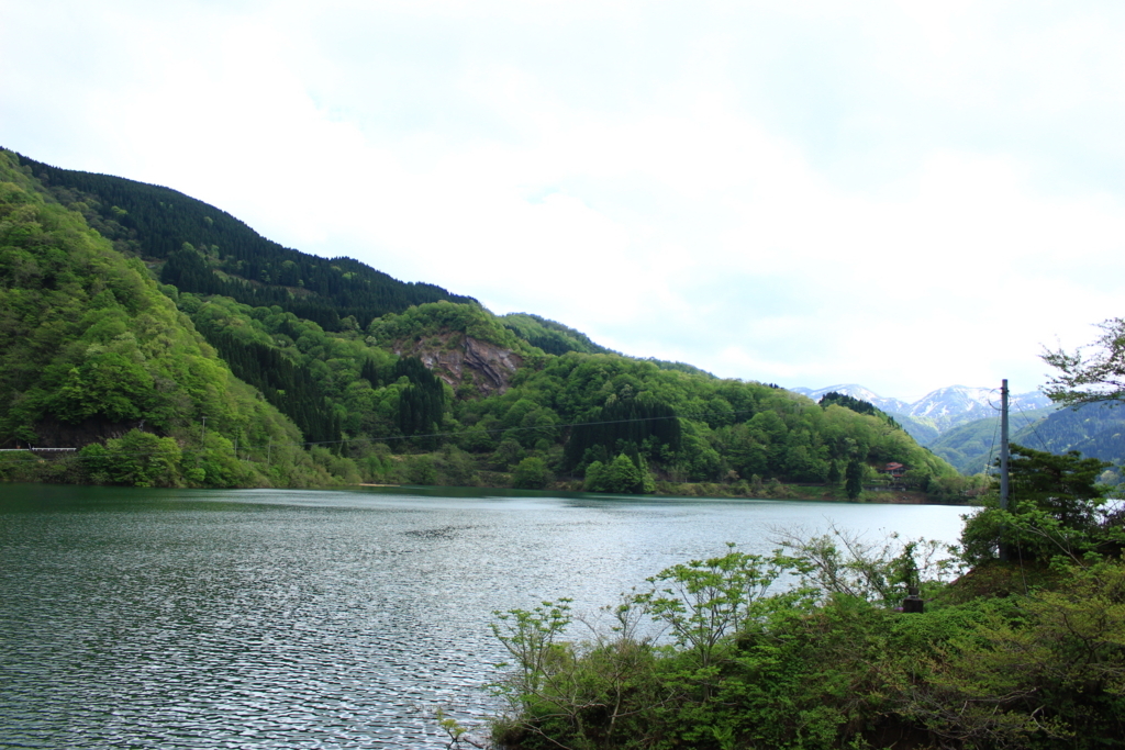 f:id:INU-SUN:20180508205250j:plain f:id:INU-SUN:20180508205250j:plain