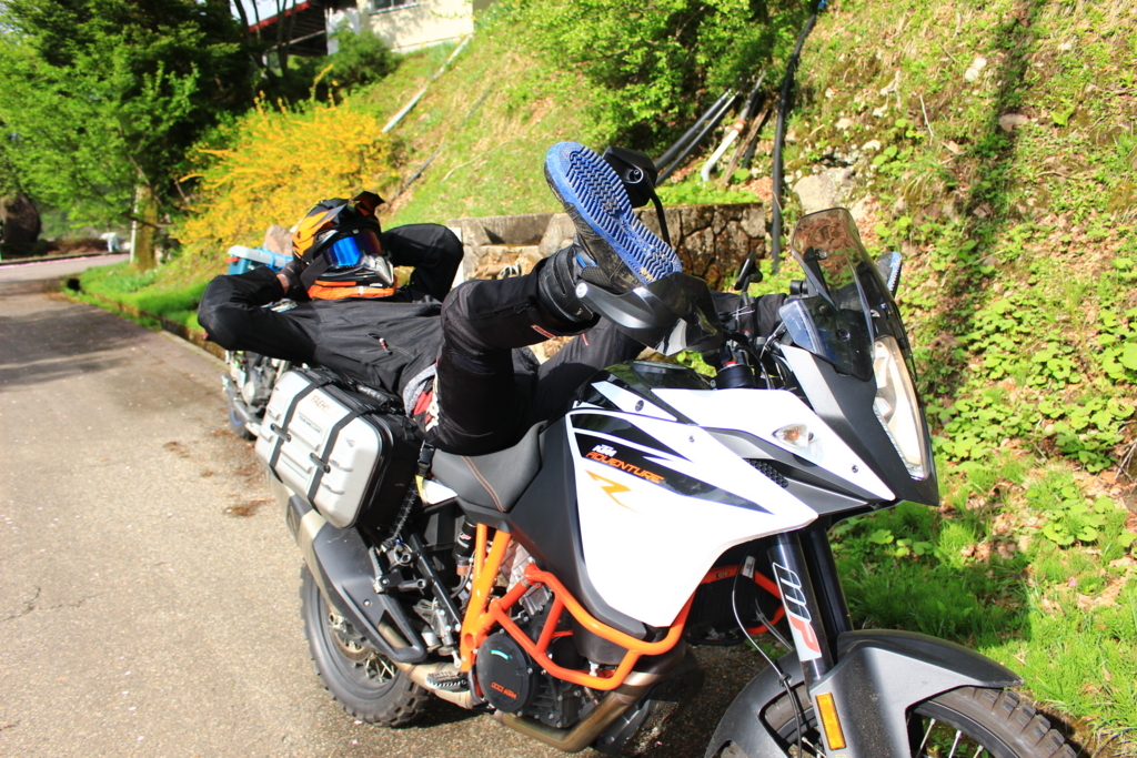 f:id:INU-SUN:20180508205333j:plain f:id:INU-SUN:20180508205333j:plain