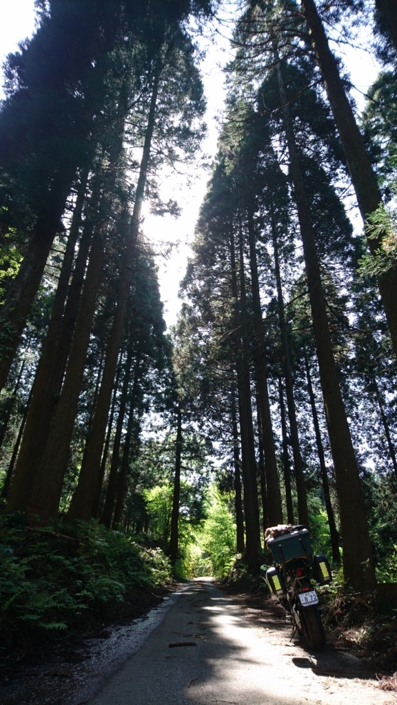 f:id:INU-SUN:20180508214611j:plain f:id:INU-SUN:20180508214611j:plain