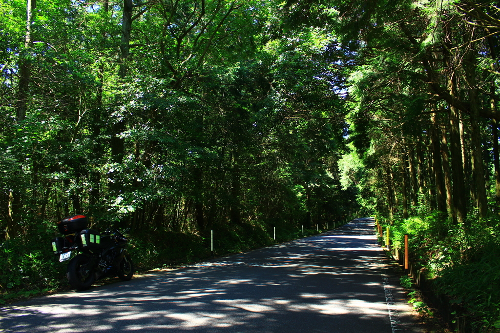 f:id:INU-SUN:20180905134517j:plain f:id:INU-SUN:20180905134517j:plain