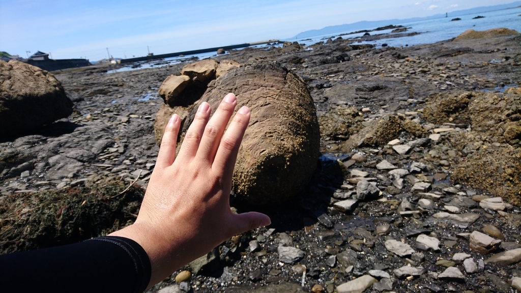 f:id:INU-SUN:20180905135044j:plain f:id:INU-SUN:20180905135044j:plain