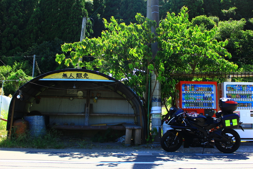 f:id:INU-SUN:20180905135125j:plain f:id:INU-SUN:20180905135125j:plain