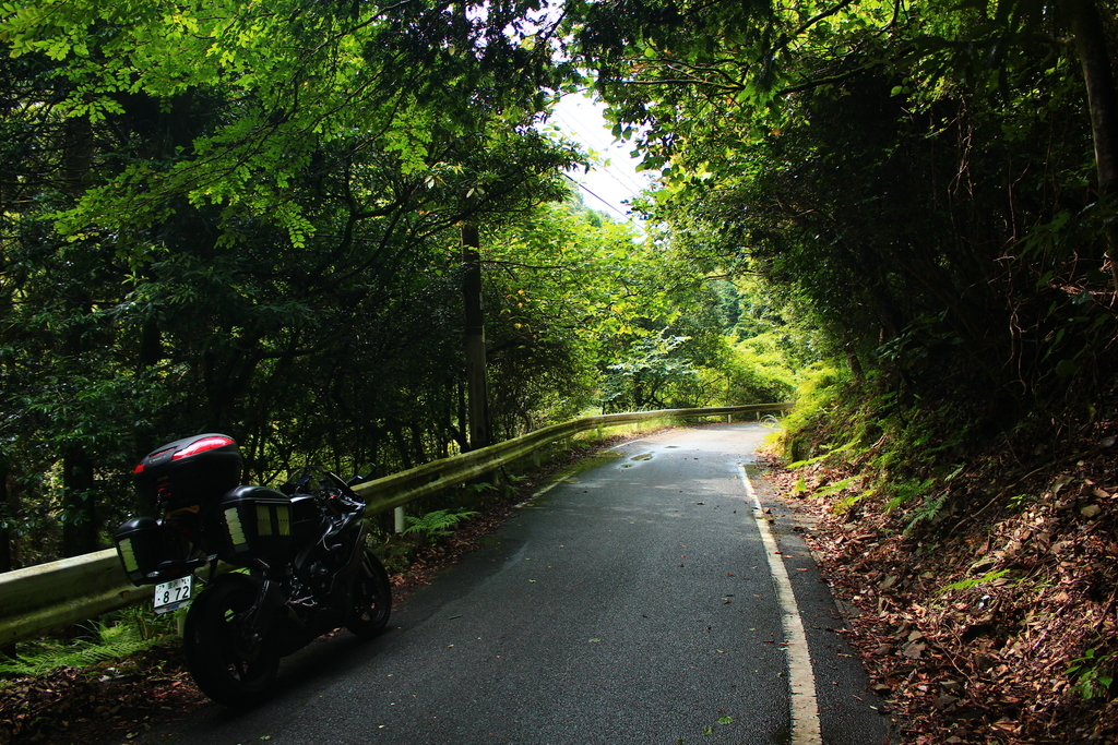 f:id:INU-SUN:20180921192302j:plain