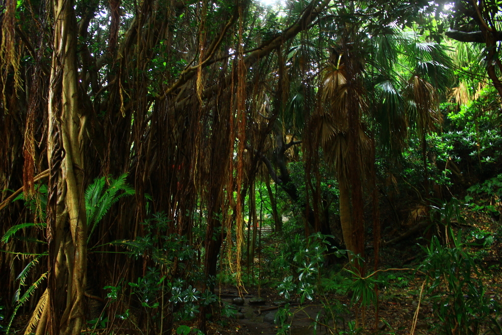 f:id:INU-SUN:20180921192637j:plain