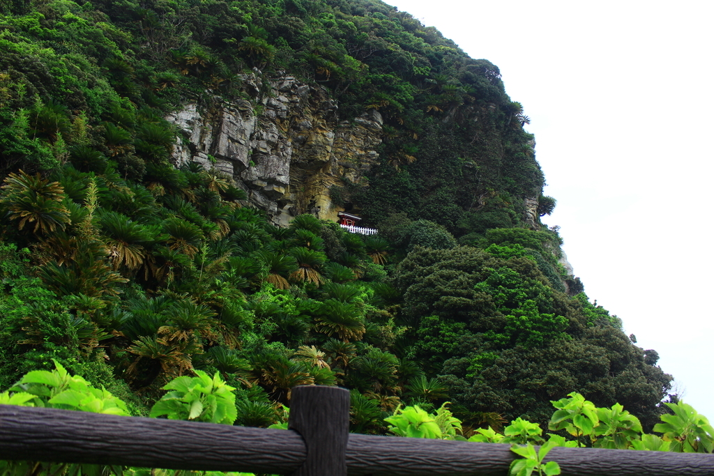 f:id:INU-SUN:20181002035305j:plain f:id:INU-SUN:20181002035305j:plain