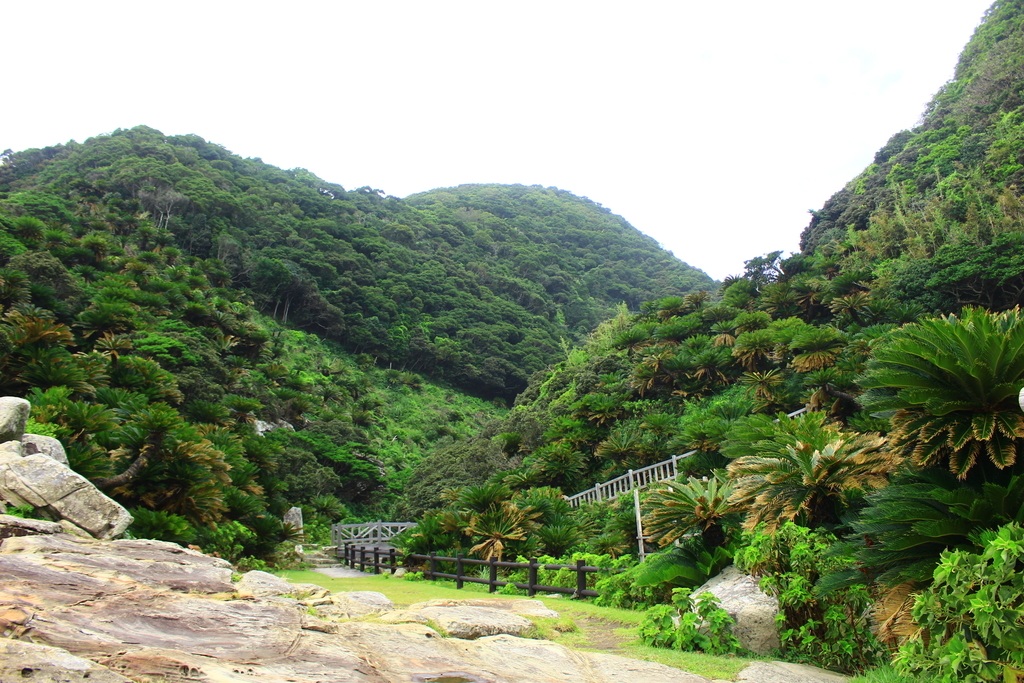 f:id:INU-SUN:20181002035351j:plain f:id:INU-SUN:20181002035351j:plain