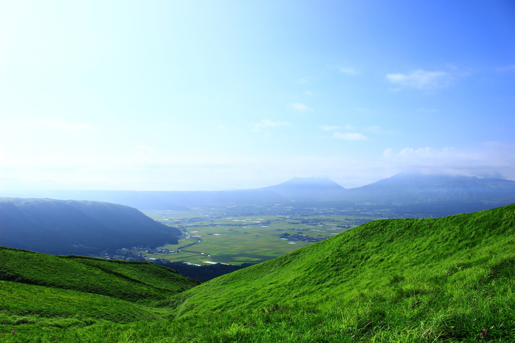 f:id:INU-SUN:20190109214741j:plain f:id:INU-SUN:20190109214741j:plain