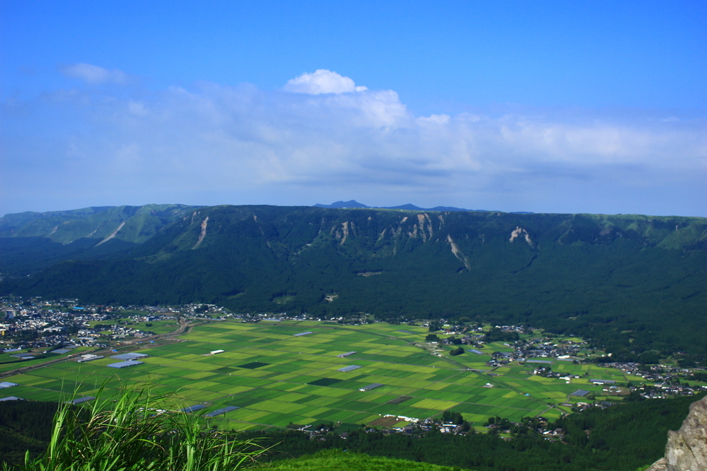 f:id:INU-SUN:20190109232132j:plain f:id:INU-SUN:20190109232132j:plain