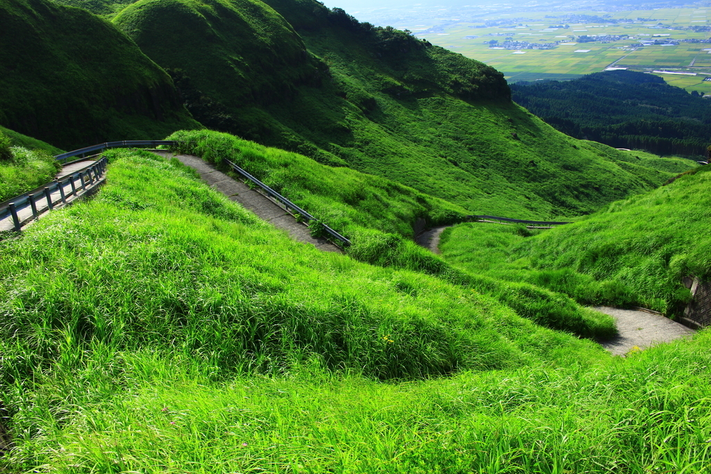 f:id:INU-SUN:20190109232156j:plain f:id:INU-SUN:20190109232156j:plain