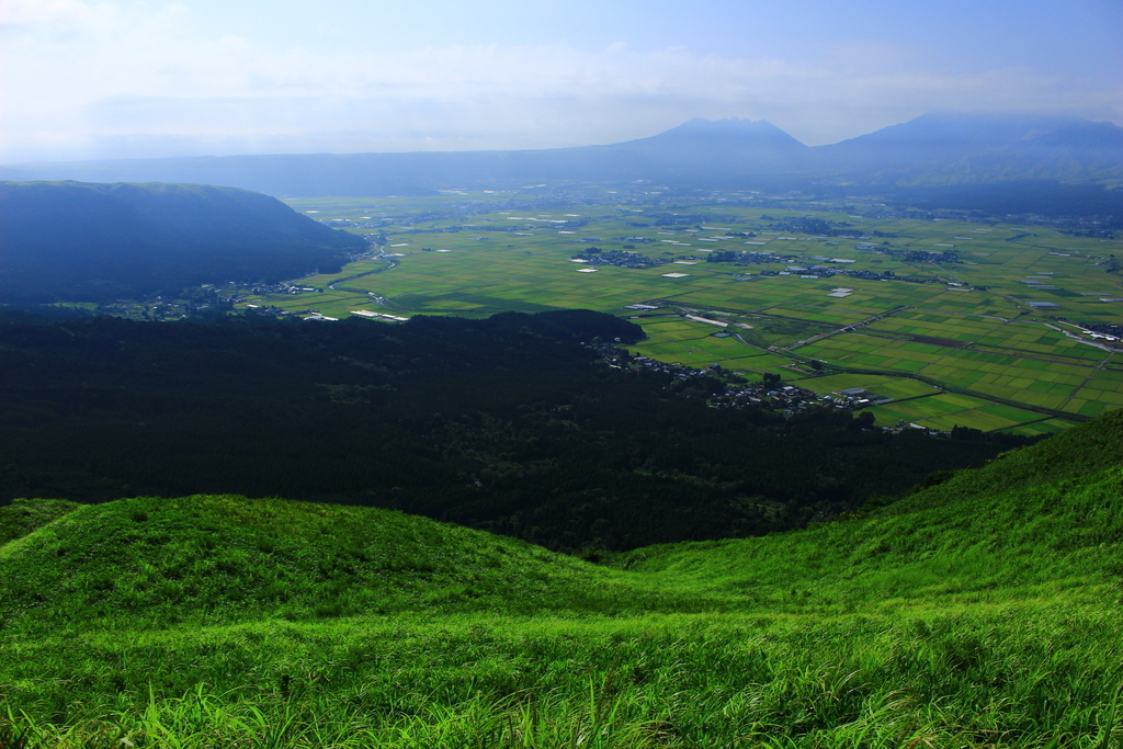 f:id:INU-SUN:20190109232614j:plain f:id:INU-SUN:20190109232614j:plain