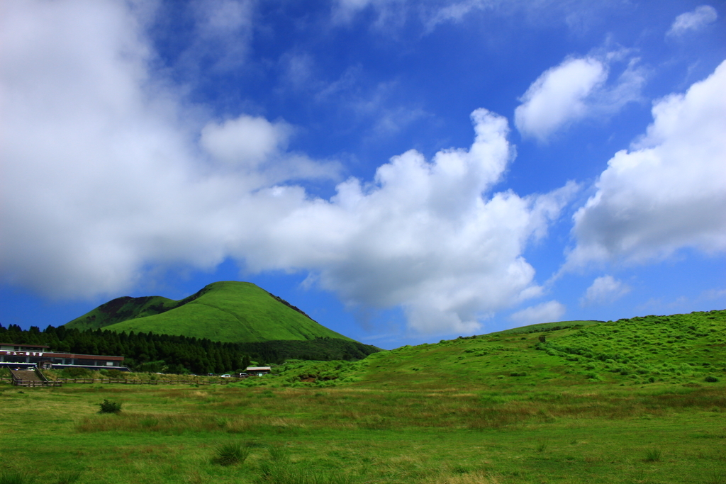 f:id:INU-SUN:20190109232921j:plain f:id:INU-SUN:20190109232921j:plain