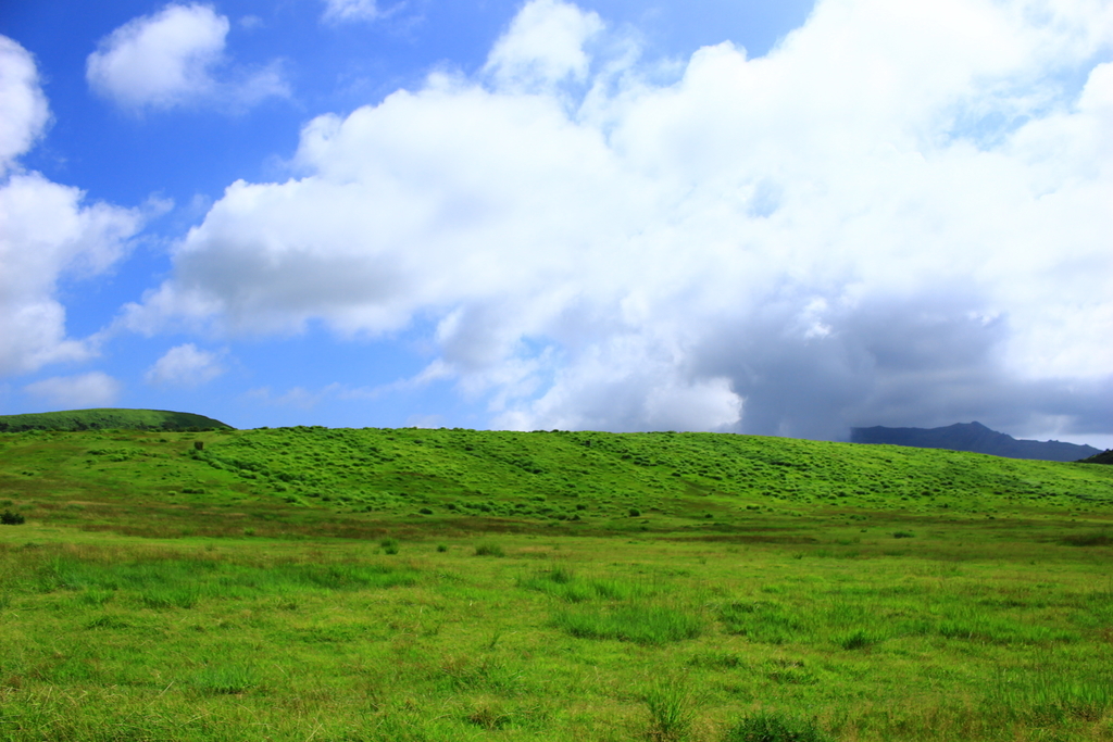 f:id:INU-SUN:20190109232934j:plain f:id:INU-SUN:20190109232934j:plain