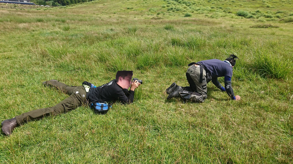 f:id:INU-SUN:20190109234358j:plain f:id:INU-SUN:20190109234358j:plain