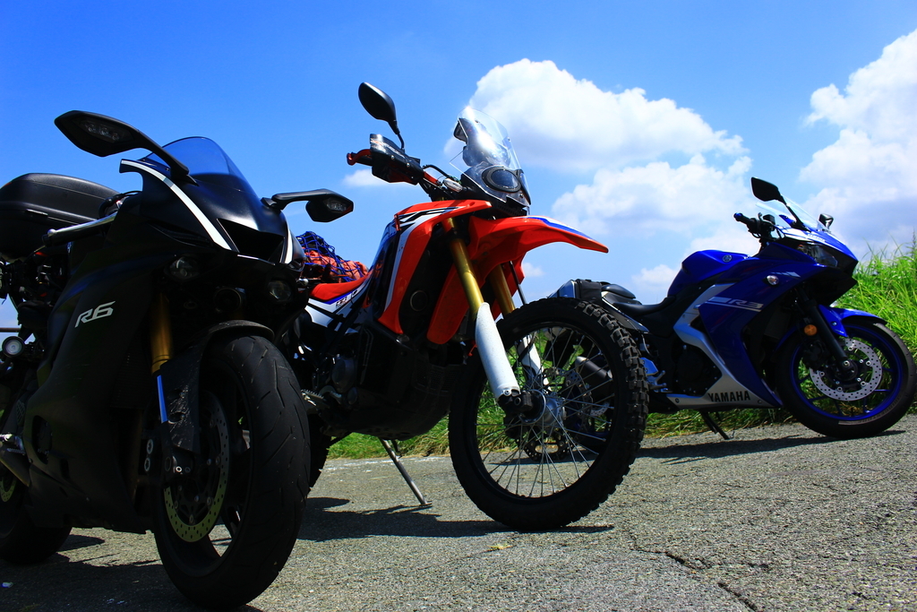 f:id:INU-SUN:20190109235239j:plain f:id:INU-SUN:20190109235239j:plain