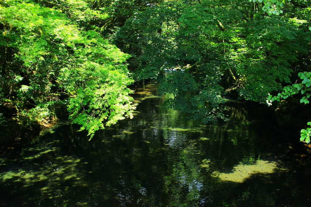 f:id:INU-SUN:20190109235729j:plain f:id:INU-SUN:20190109235729j:plain