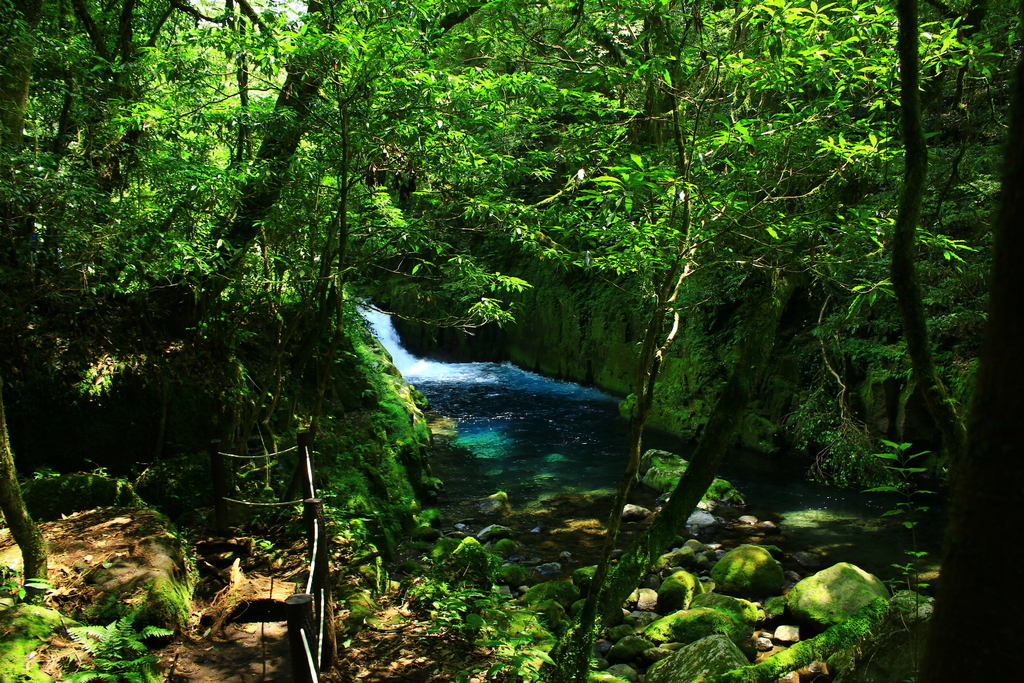 f:id:INU-SUN:20190109235807j:plain f:id:INU-SUN:20190109235807j:plain