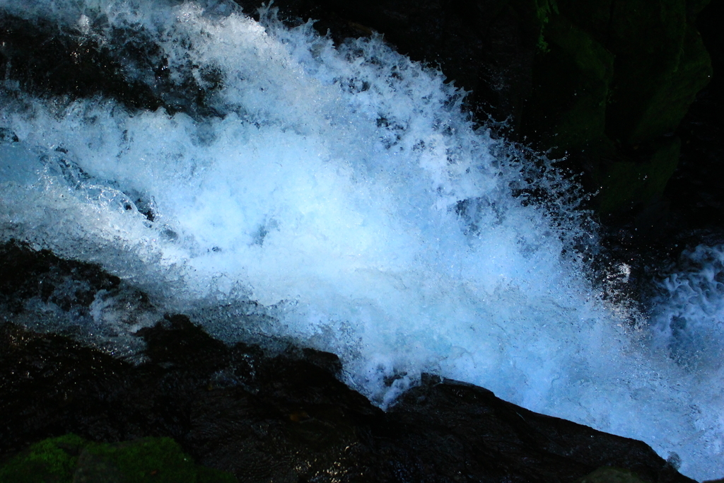 f:id:INU-SUN:20190109235832j:plain f:id:INU-SUN:20190109235832j:plain