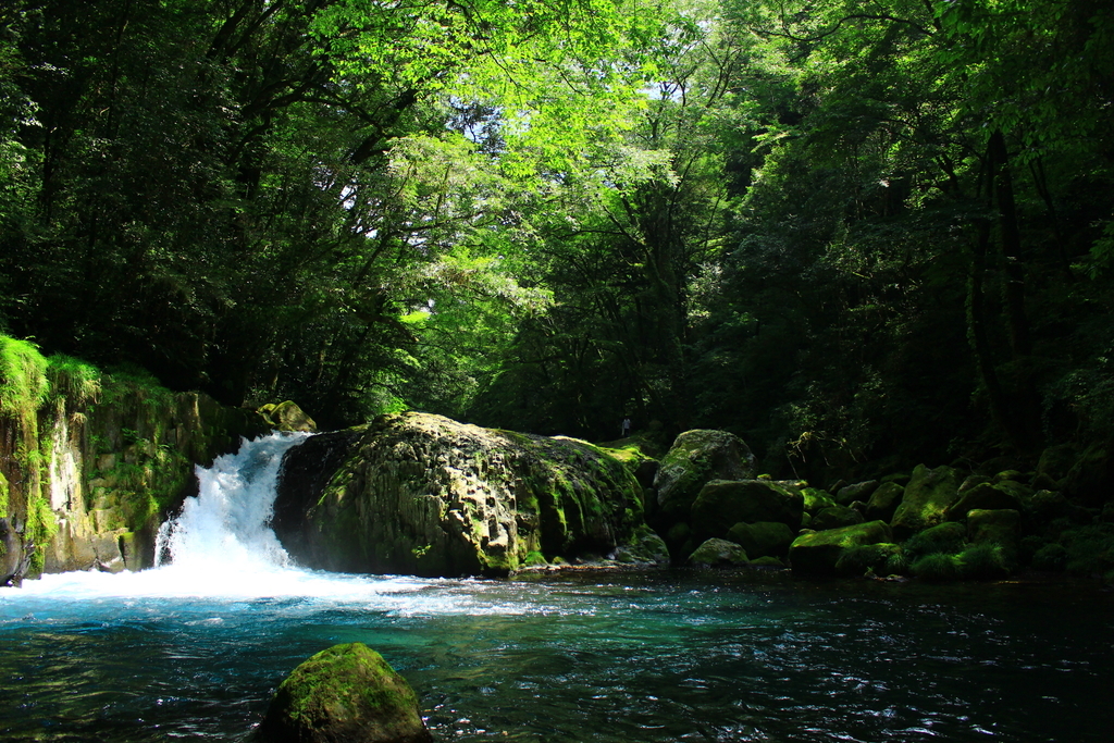 f:id:INU-SUN:20190109235906j:plain f:id:INU-SUN:20190109235906j:plain