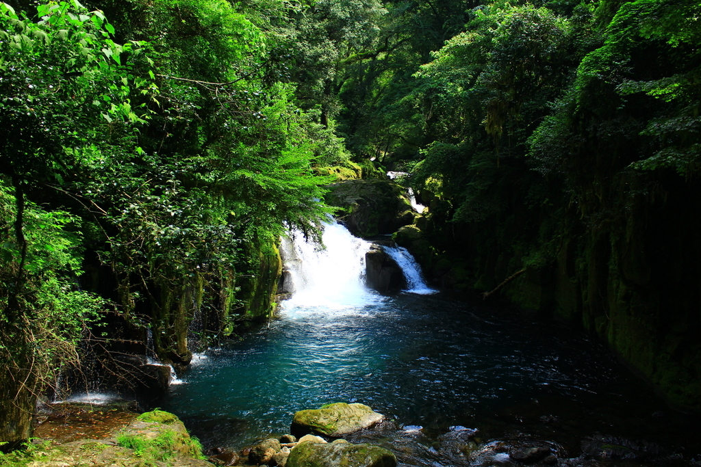 f:id:INU-SUN:20190110000003j:plain f:id:INU-SUN:20190110000003j:plain