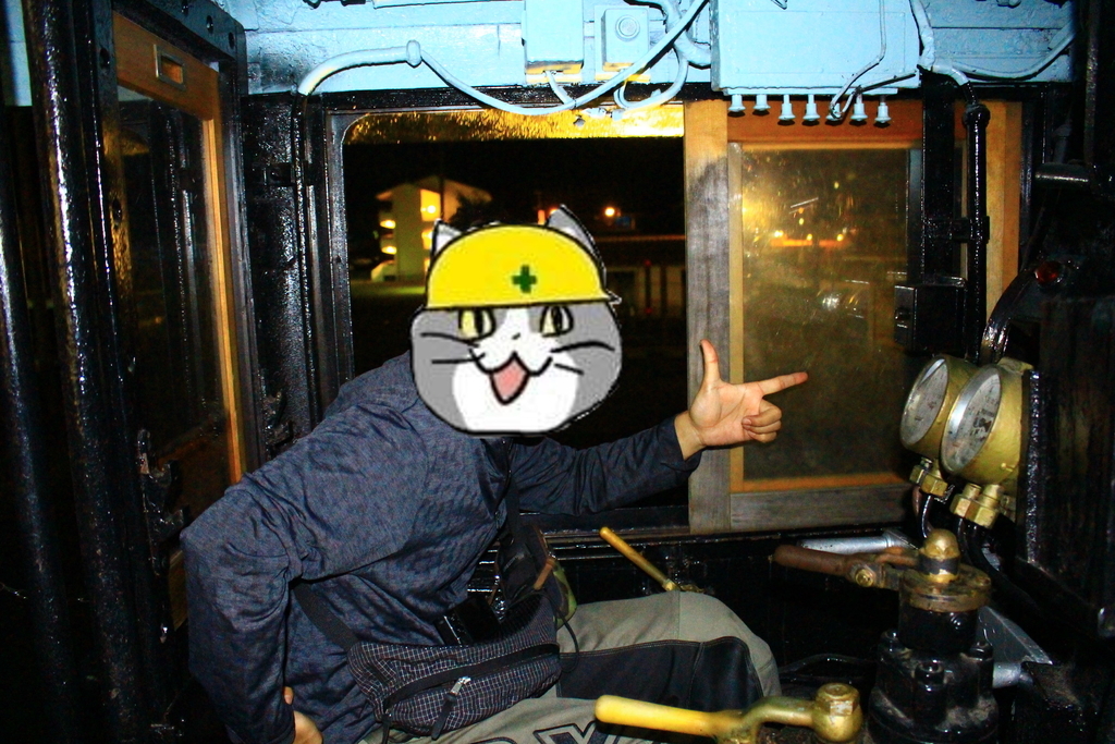 f:id:INU-SUN:20190113204755j:plain f:id:INU-SUN:20190113204755j:plain