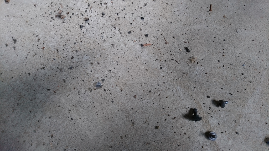 f:id:INU-SUN:20190119043238j:plain