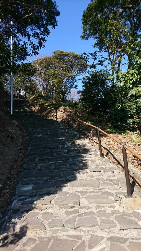 f:id:INU-SUN:20190226233124j:plain