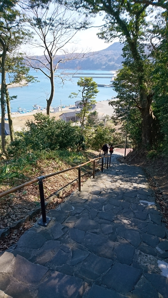 f:id:INU-SUN:20190226233128j:plain