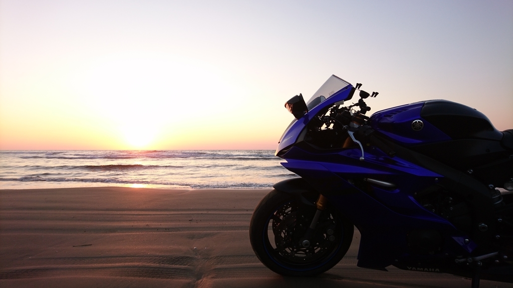 f:id:INU-SUN:20190226233357j:plain