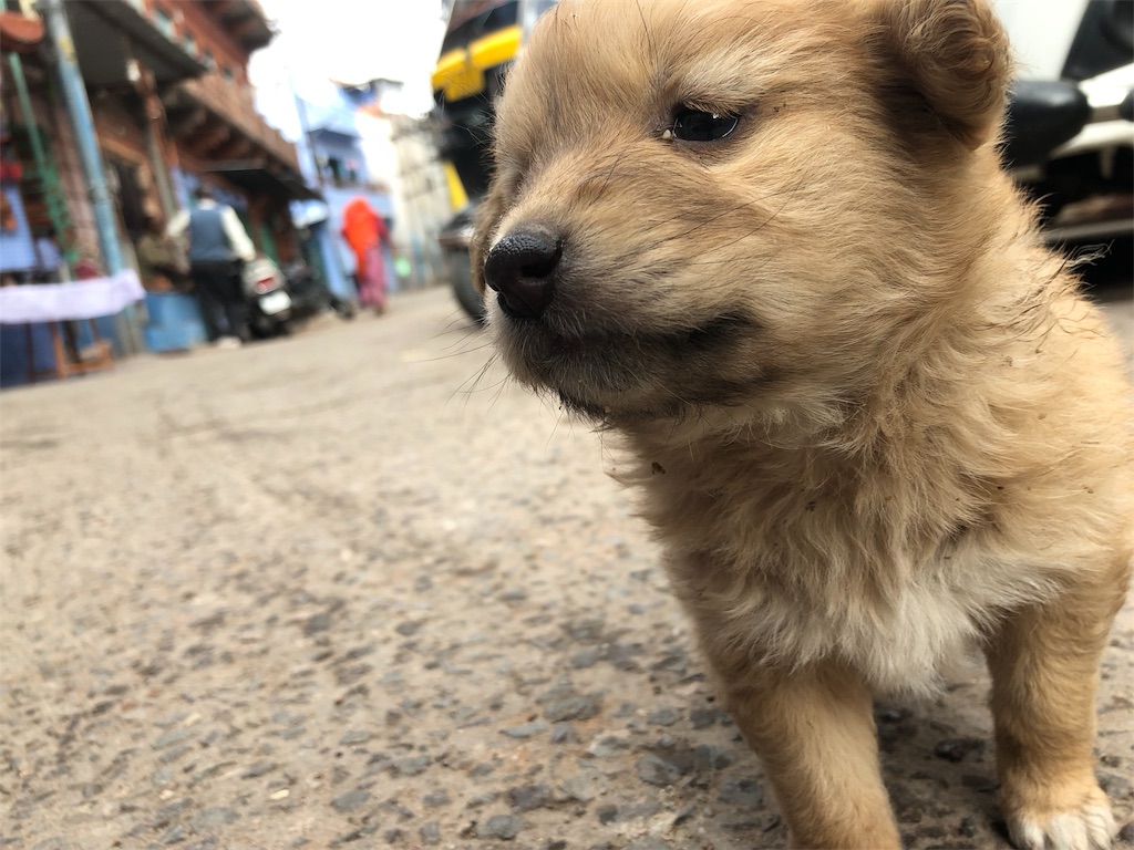 f:id:IPPO:20190320131725j:image
