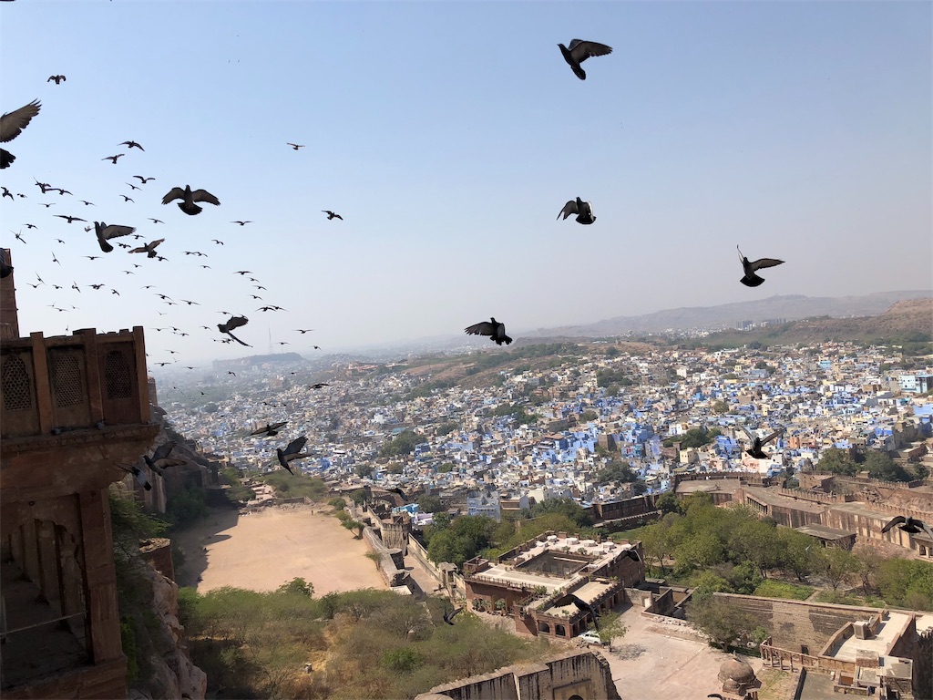 f:id:IPPO:20190321104030j:image