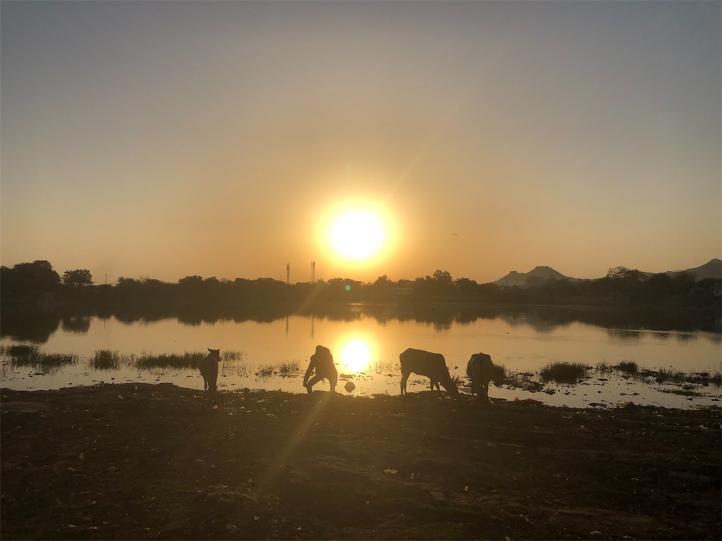 f:id:IPPO:20190401182742j:image