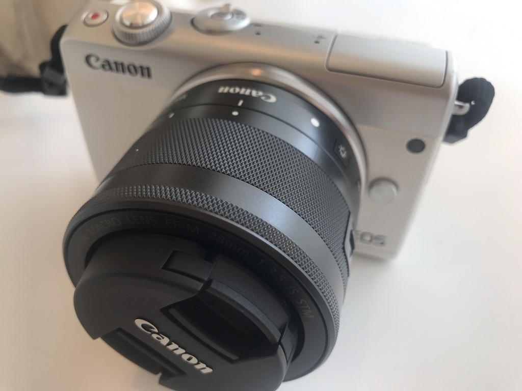 f:id:IRONBOY91:20190226144355j:plain