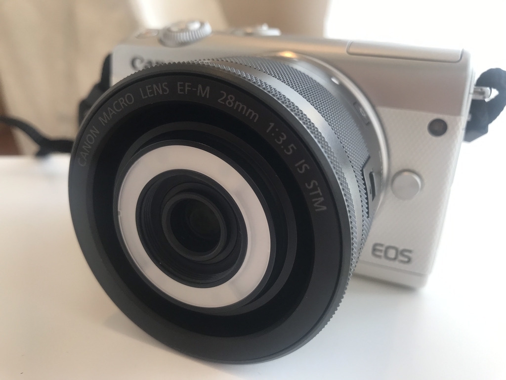 f:id:IRONBOY91:20190226144401j:plain