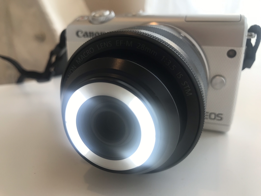 f:id:IRONBOY91:20190226144406j:plain