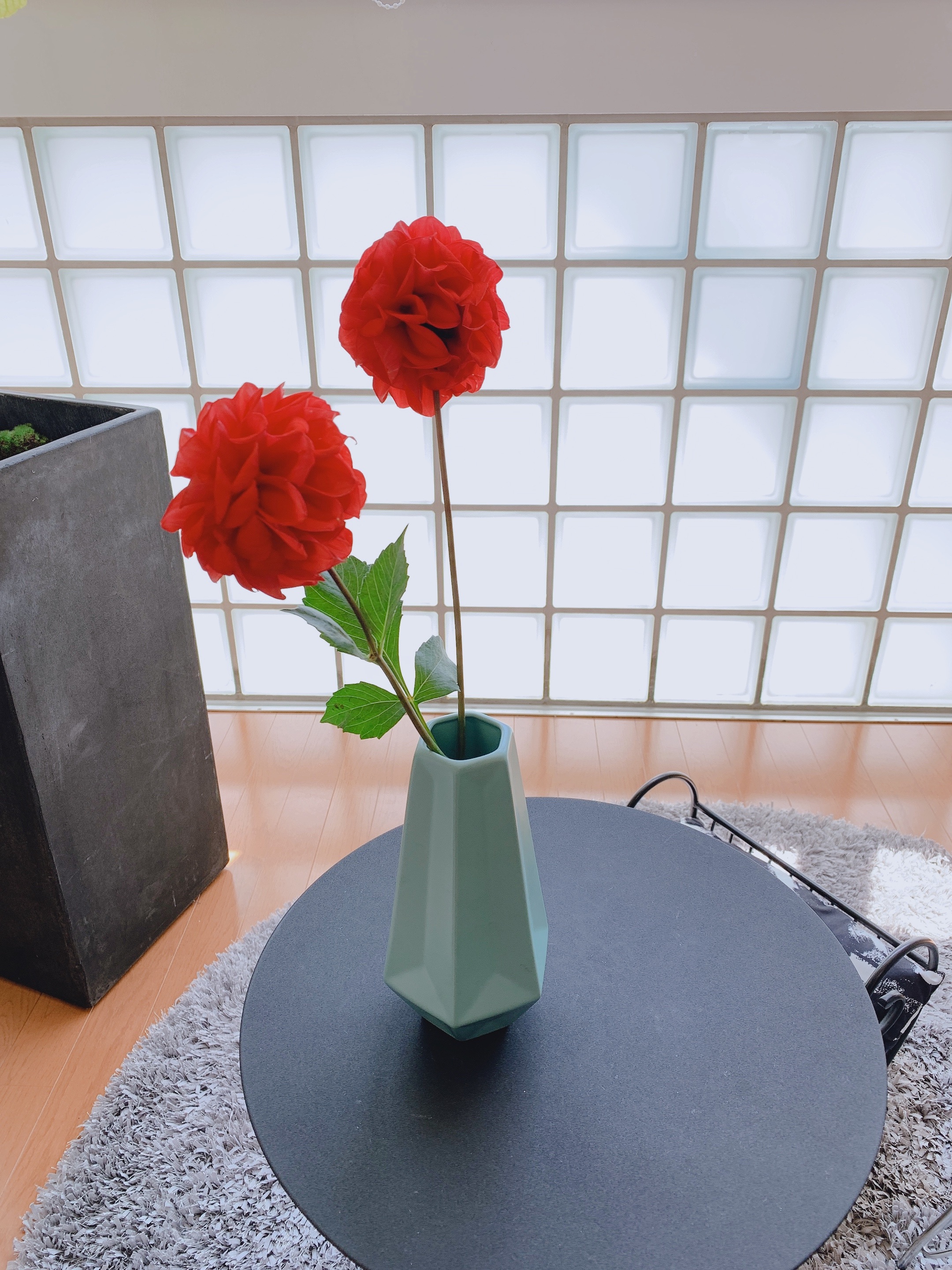 f:id:IRONBOY91:20200430124707j:image