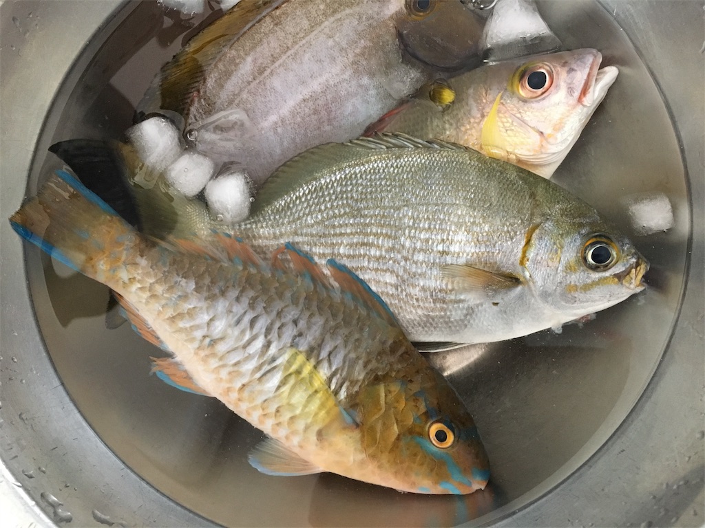 f:id:ISG:20181129132737j:image f:id:ISG:20181129132737j:image