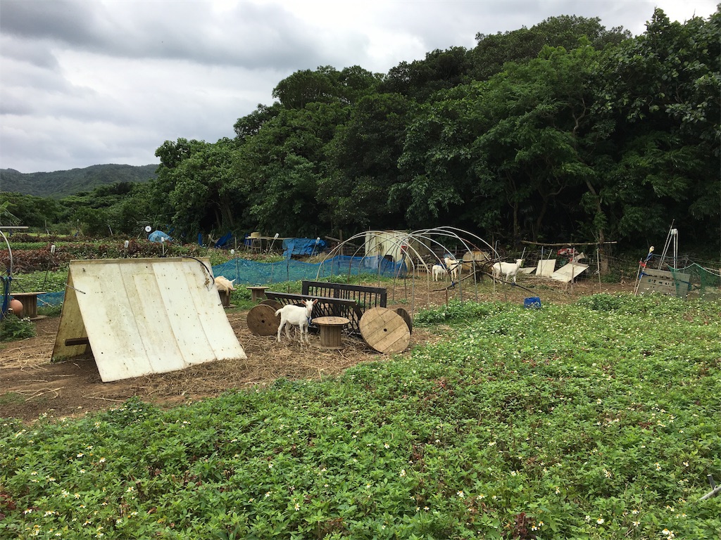 f:id:ISG:20190324222043j:image